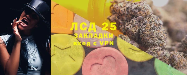 ГАЛЛЮЦИНОГЕННЫЕ ГРИБЫ Алзамай